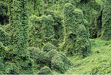 太空建设生存游戏《IXION》发售日期公布 11月16日正式推出