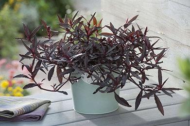 《地平线 VR: 山的呼唤》画面展示 3号公开更多细节