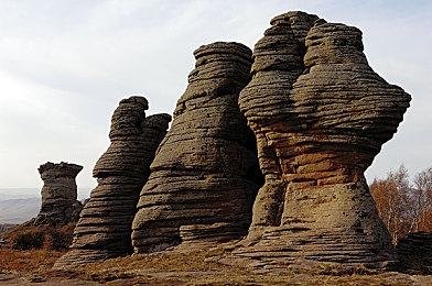 《超级马里奥兄弟：惊奇》合作模式实机演示视频